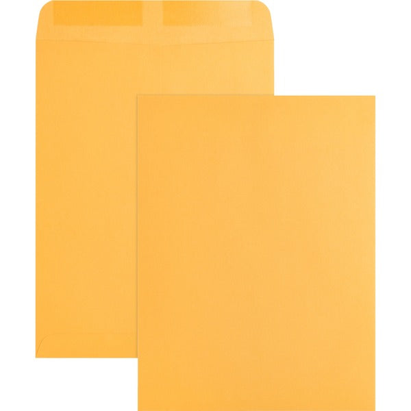 Business Source Kraft Gummed Catalog Envelopes - Catalog - #10 1/2 - 9" (228.60 mm) Width x 12" (304.80 mm) Length - 28 lb (12700.59 g) - Gummed - Kraft - Kraft - 250 / Box