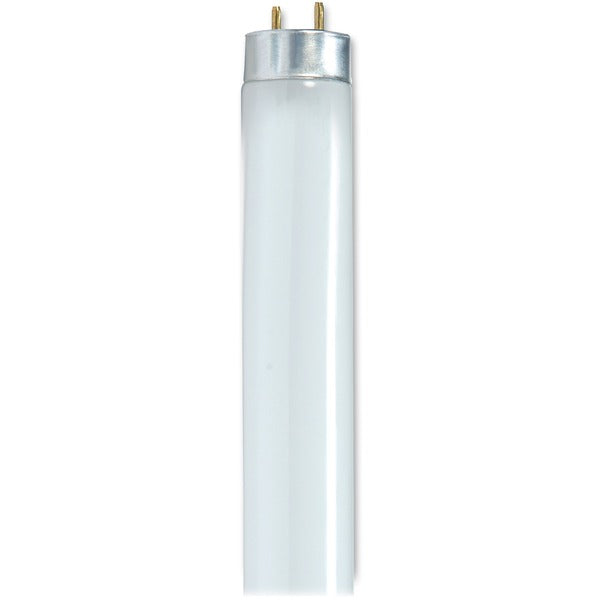 Satco Flourescent Light Bulbs 32W 6/box - 32 W - 120 V AC - 3050 lm - T8 Size - Cool White Light Color - 24000 Hour - 4100&deg;K (6920&deg;F) Color Temperature - 85 CRI - 6 / Box