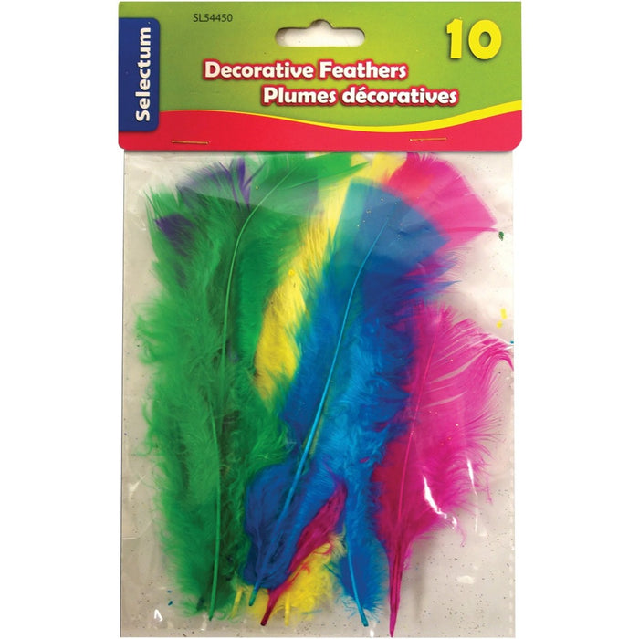 Selectum Decorative Feathers Small - Decoration, Art Project, Craft Project - Assorted - 10 / Pack