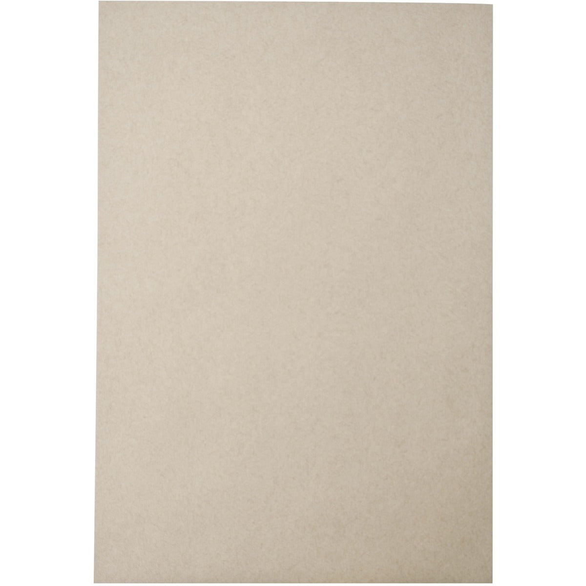 Large Format/Catalog Envelopes
