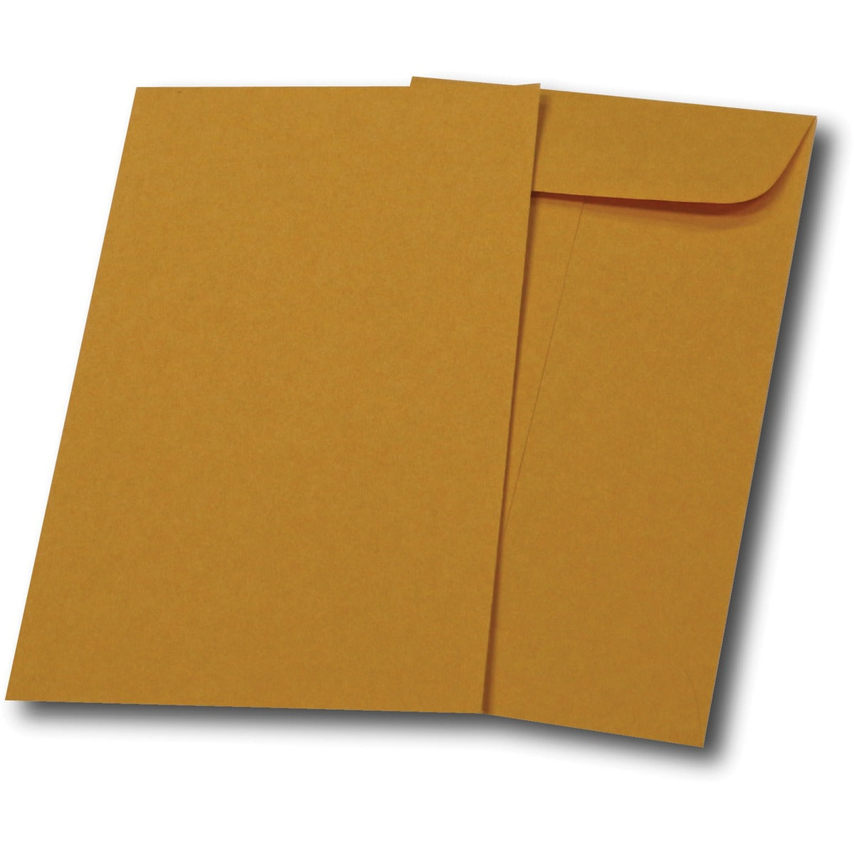 Coin Envelopes