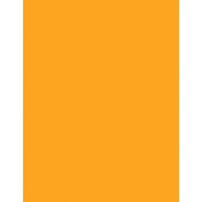 Neenah Astrobrights Paper - Letter - 8 1/2" (215.90 mm) x 11" (279.40 mm) - 65 lb (29483.50 g) Basis Weight - Orbit Orange - 250 / Pack