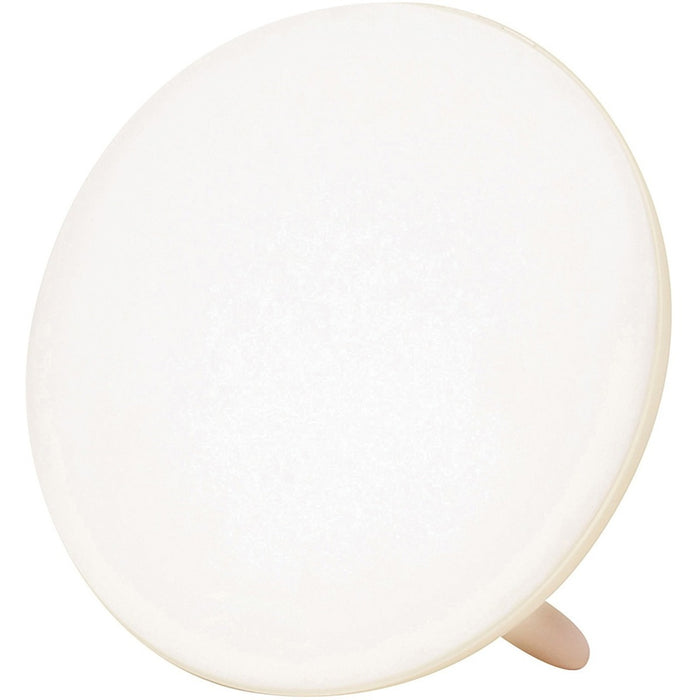 BIOS Living Jumbo Therapy Light for Seasonal Affective Disorder (SAD) - White Light - 10000 lux - Power Adapter