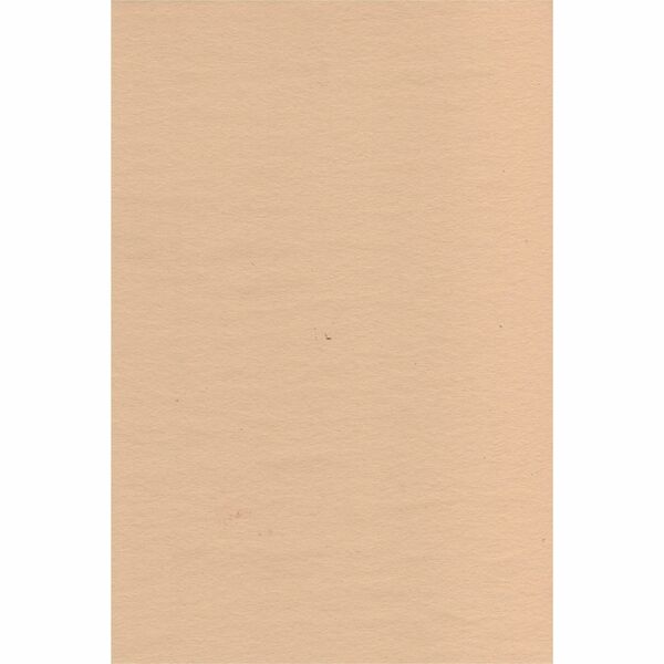 NAPP Drawing Sheet - 96 Sheets - Manila Paper