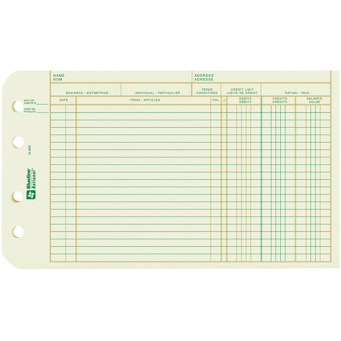 Blueline Accounting Book Refill - 100 Sheet(s) - Ledger - 8 1/2" (21.6 cm) x 5 1/2" (14 cm) Sheet Size - Recycled - 100 / Pack