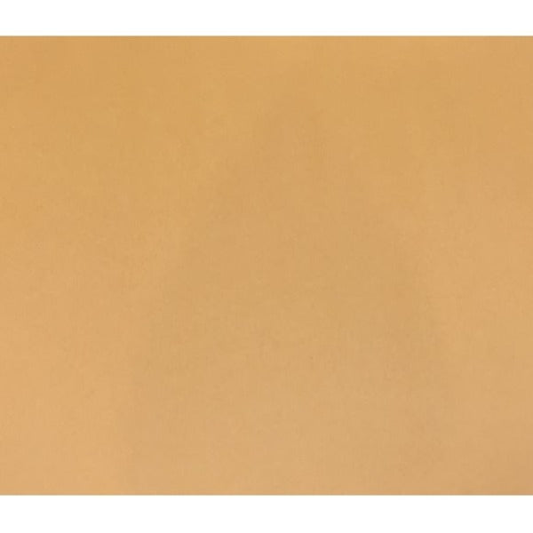 NAPP Colour Cardstock - 22" (558.80 mm) Width x 28" (711.20 mm) Length - Orange - Cardboard - 48 / Pack