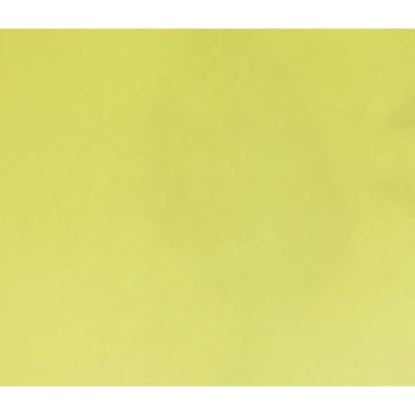 NAPP Colour Cardstock - 22" (558.80 mm) Width x 28" (711.20 mm) Length - Yellow - Cardboard - 48 / Pack