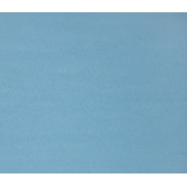 NAPP Colour Cardstock - 22" (558.80 mm)Width x 28" (711.20 mm)Length - 48 / Pack - Light Blue - Cardboard