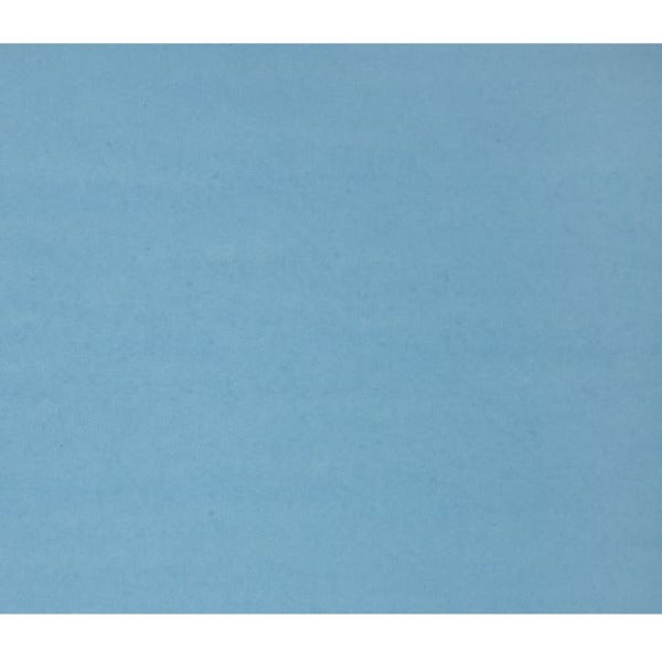 NAPP Colour Cardstock - 22" (558.80 mm) Width x 28" (711.20 mm) Length - Light Blue - Cardboard - 48 / Pack