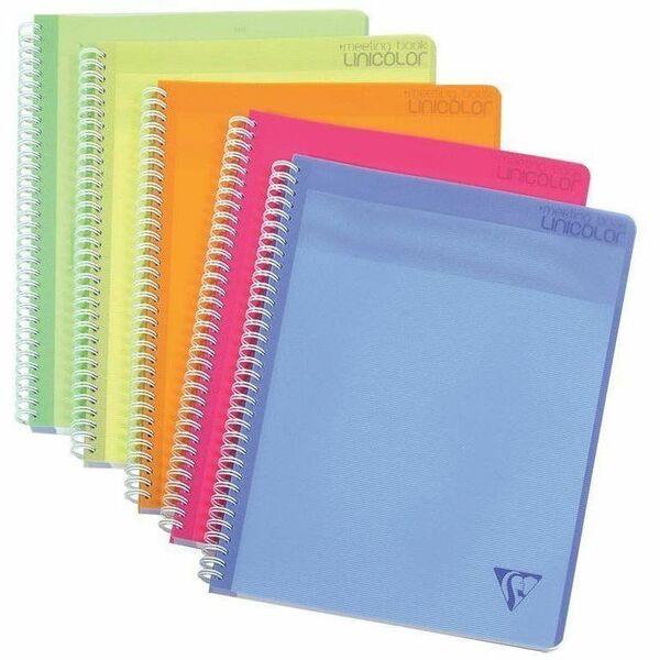 Clairefontaine Linicolor Meeting Book - 80 Sheets - 8 55/64" (225 mm) x 11 11/16" (297 mm) Sheet Size - Translucent Polypropylene Cover - Micro Perforated, Punched