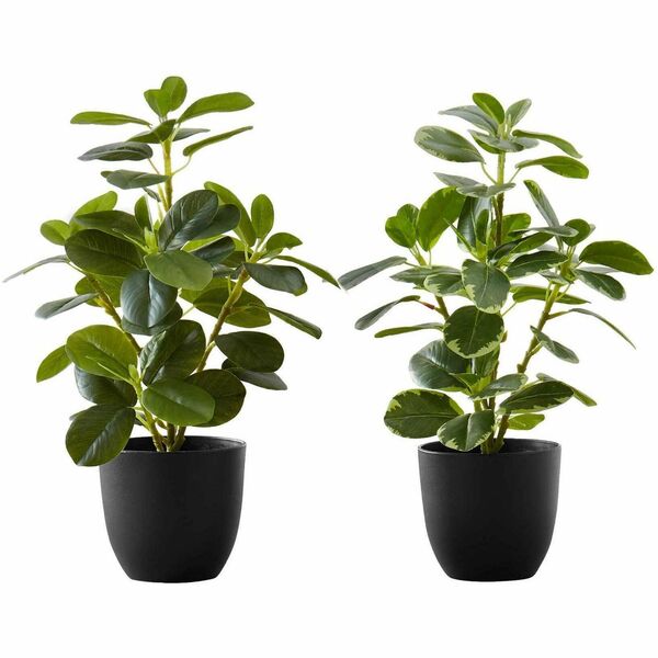 Monarch Specialties Artificial Plant - 2pcs / 14"H Ficus Elastica in 4" Pot - Ficus Elastica - Stem - Pot2 / Box