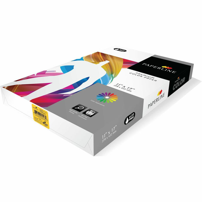 Paperline Multipurpose Paper - Gold - 500 / Pack