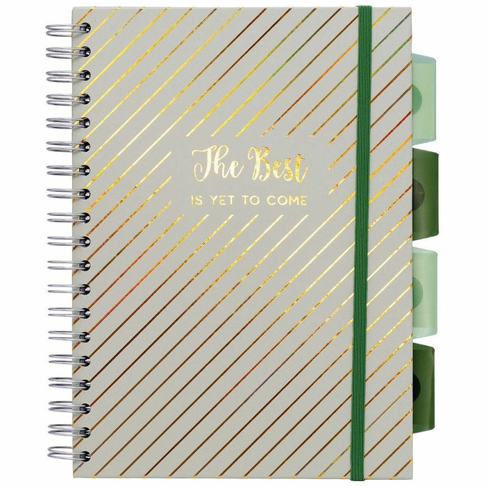 Pukka Pads Haze Notebook - 100 Sheets - 200 Pages - Twin Wirebound - 80 g/m² Grammage - Clear Poly, Green Cardboard Cover - Repositionable Divider, Storage Pocket, Twin Wire - 1 Each