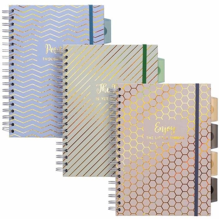 Pukka Pads Haze Notebook - 100 Sheets - 200 Pages - Twin Wirebound - 80 g/m² Grammage - Clear Poly, Transparent Cardboard Cover - Repositionable Divider, Storage Pocket - 3 / Pack