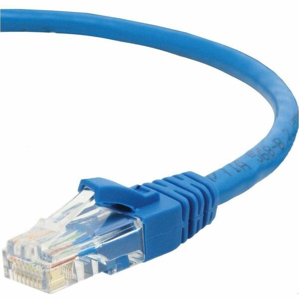 StarTech.com UTP Network Cable - 100 ft (30.48 m) Network Cable for Network Device - Unshielded Twisted Pair (UTP) - 24 AWG - Blue - 1 Each