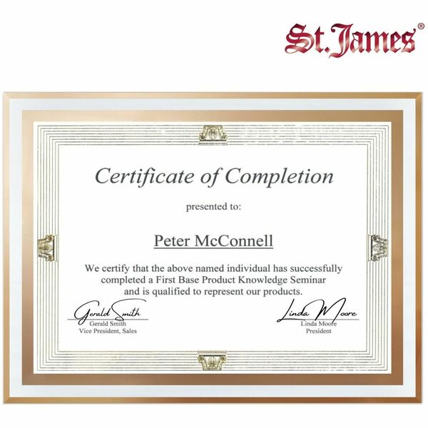 St. James&reg; Glass Frames for 8.5" x 11" Certificates, Diplomas & Documents, Clean Line Border, Gold Foil, Pack of 2 - Fit 8.5" x 11" Letter Size Certificates - 13-3/4" x 10" Frame Size - Glass Frame with Gold Foil - Clean Line Border - Pack of 2