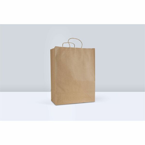 Inteplast Twisted Paper Handle Bags - Kraft Color - 13" (330.20 mm) Width x 7" (177.80 mm) Depth - Kraft - Paper - Multipurpose, Grocery, Food, Storage, Restaurant, Bakery - 250 Pack