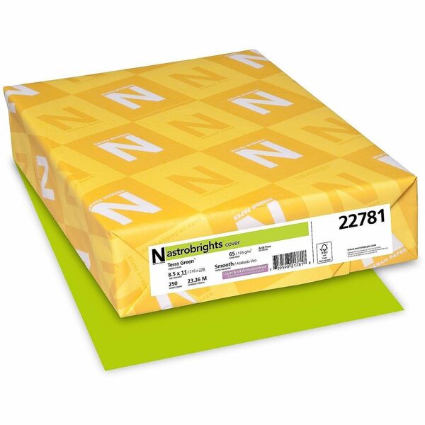 Astrobrights Color Card Stock - Terra Green - Letter - 8 1/2" (215.90 mm) x 11" (279.40 mm) - 65 lb (29483.50 g) Basis Weight - Smooth - Green Seal - Acid-free, Lignin-free, Durable, Heavyweight - Terra Green - 1 Pack