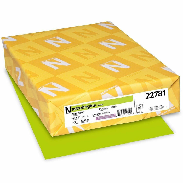 Astrobrights Color Card Stock - Terra Green - Letter - 8 1/2" (215.90 mm) x 11" (279.40 mm) - 65 lb (29483.50 g) Basis Weight - Smooth - Green Seal - Acid-free, Lignin-free, Durable, Heavyweight - Terra Green - 1 Pack